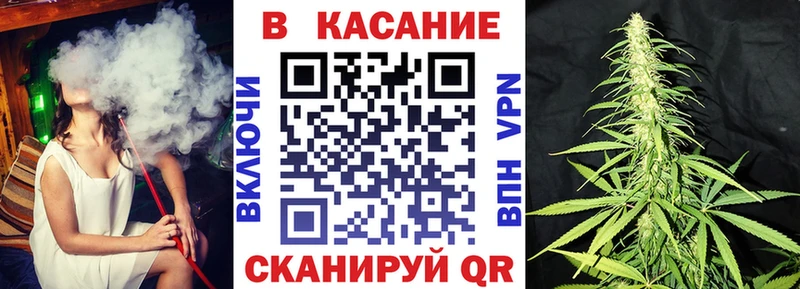 ГАШ Сосновый Бор