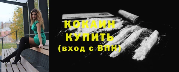 спайс Арсеньев