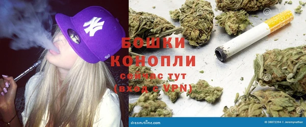 спайс Арсеньев