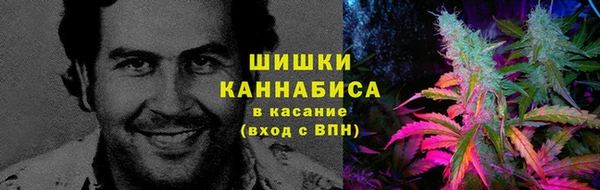 спайс Арсеньев