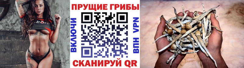 Псилоцибиновые грибы Magic Shrooms Сосновый Бор